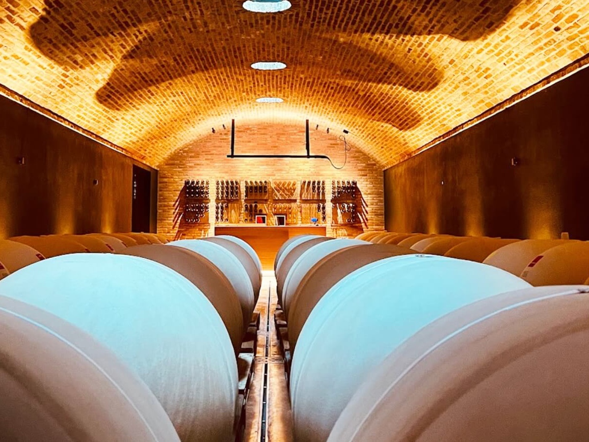 Le-Marne-profumi-del-vino