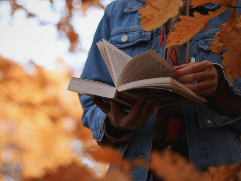 MOBI-visore-libri