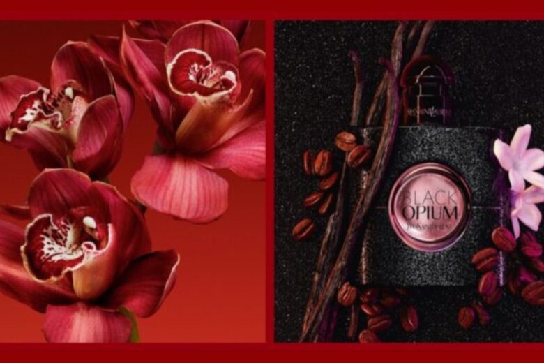 Notino Fragrance Finder: come trovare il profumo perfetto in maniera semplice e veloce