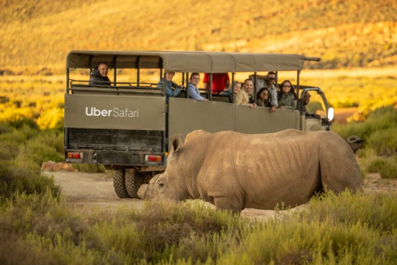 Il safari in Sudafrica da oggi si fa (anche) in Uber