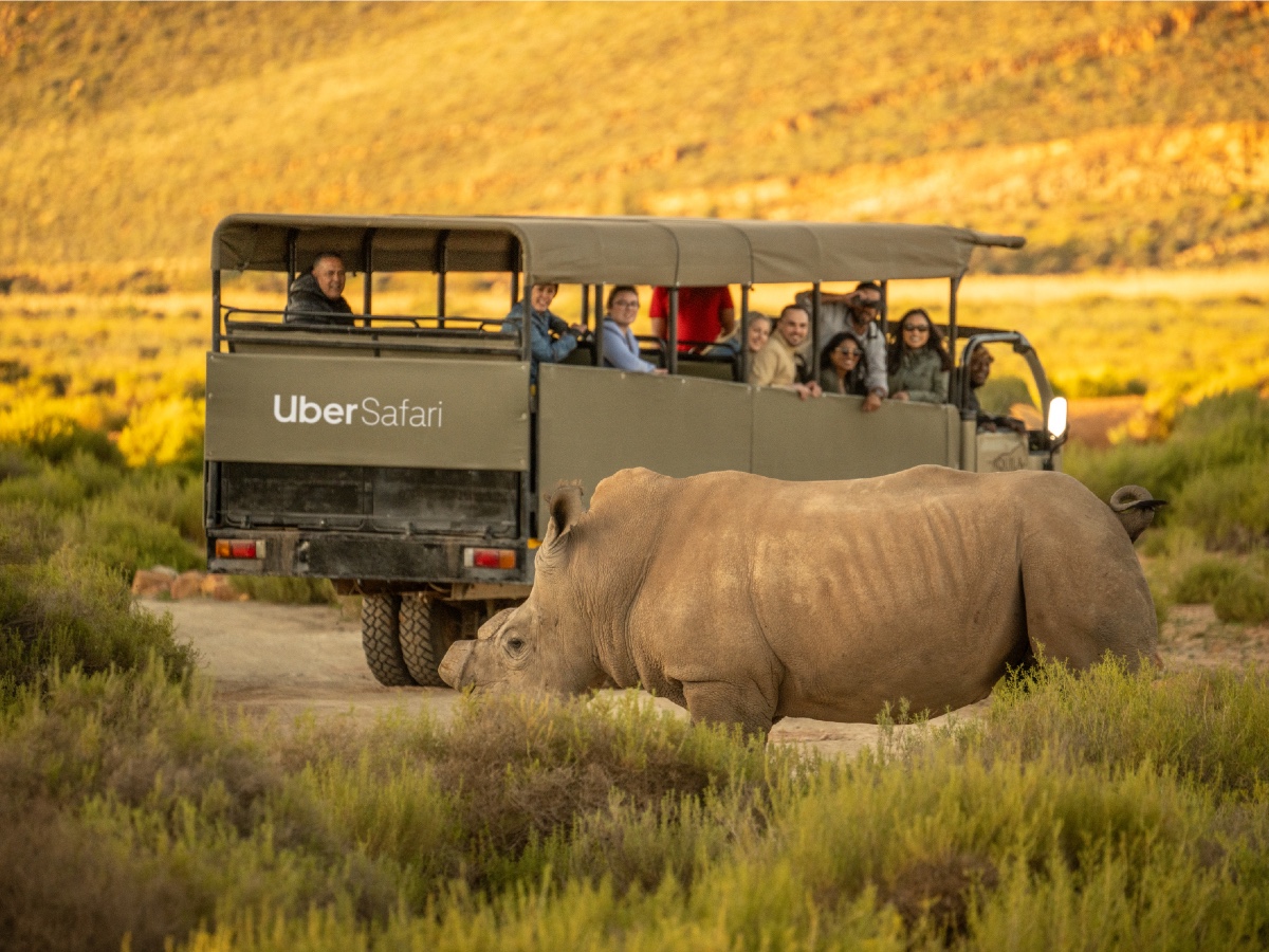 Uber Safari