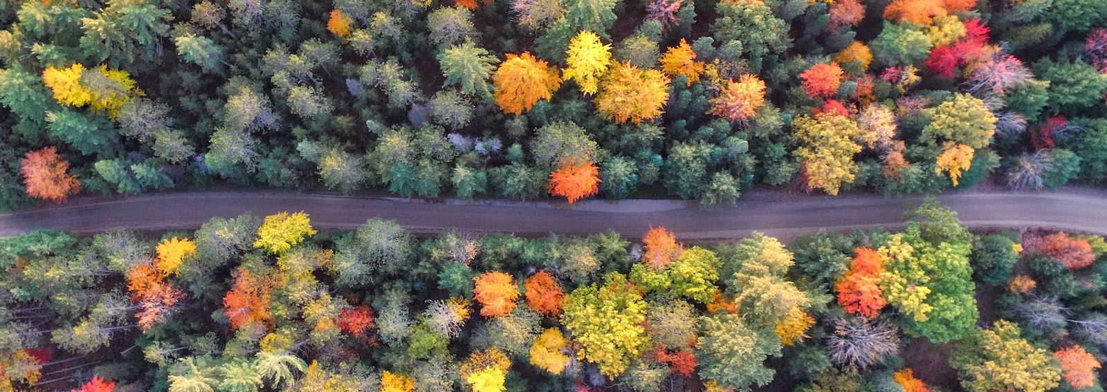 autunno