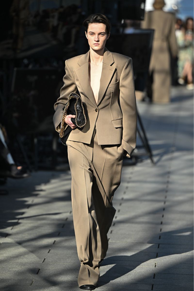 cancro business stella McCartney