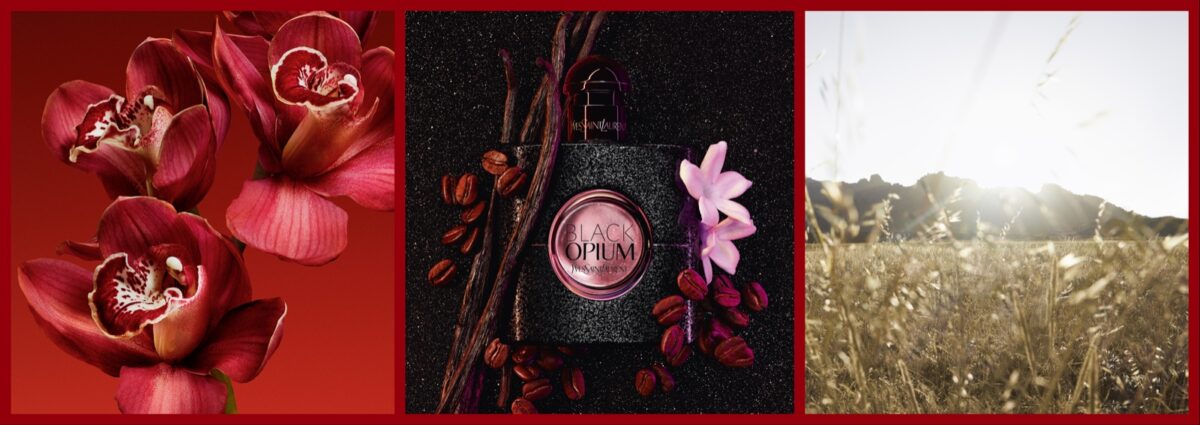 finder come trovare profumo perfetto cover desktop