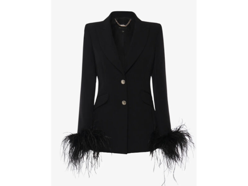 ALMA SANCHEZ _ blazer