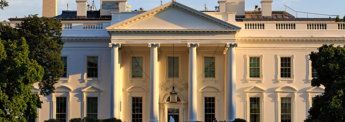 Cover come funzionano elezioni usa desktop