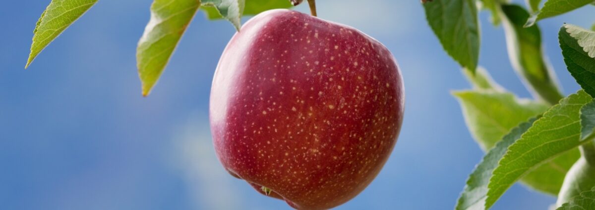 GettyImages-846981852