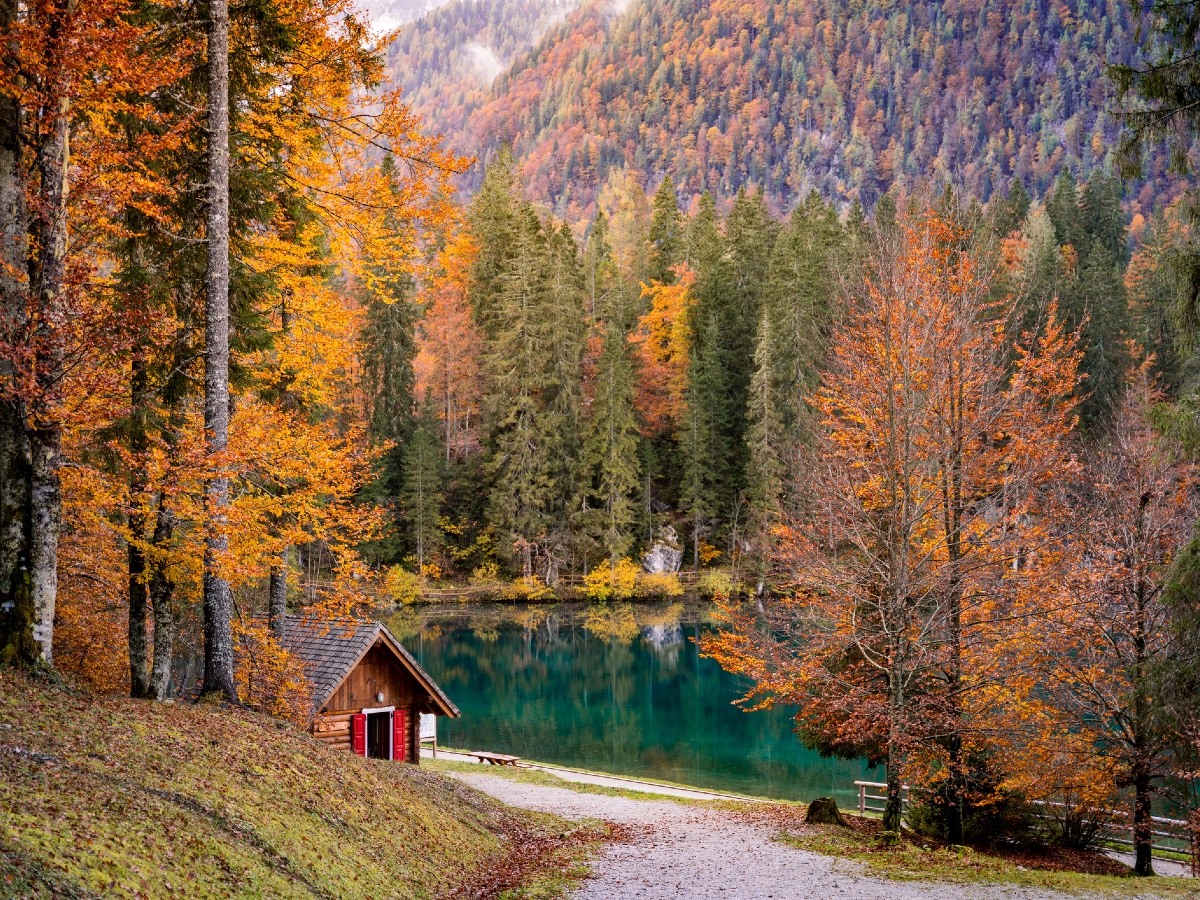 GettyImages-autunno foliage natura weekend lago
