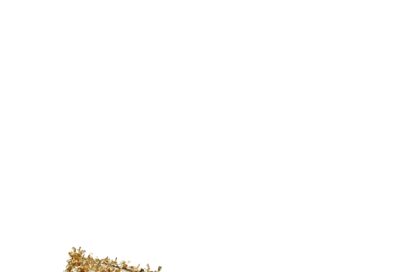 TB Minnie Travel Ballet with Metal Logo 165362 in Gold-Gold