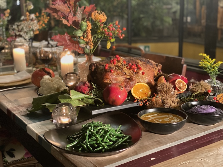VIVI – Venezia_Navona_Le Serre_Thanksgiving_2