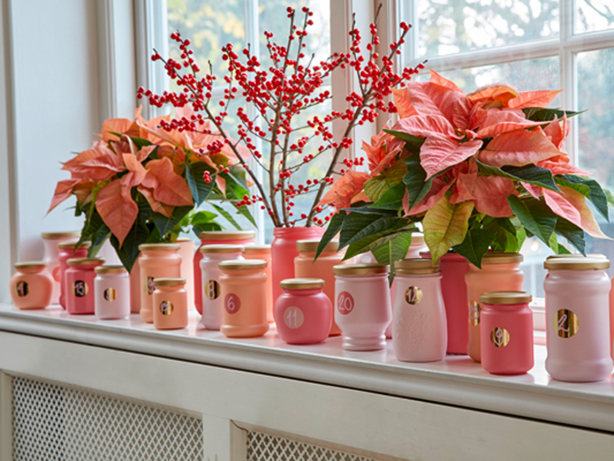 calendario-avvento-stelle-di-natale