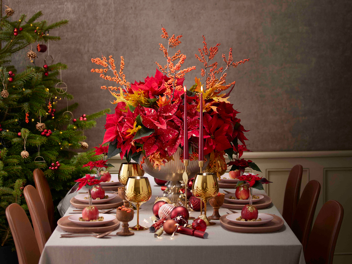 centro-tavola-stelle-natale-stars-for-europe