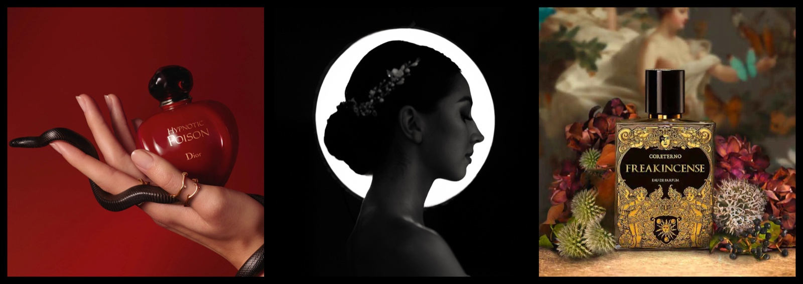 profumi per halloween migliori sensuali dark decadenti sexy cover desktop