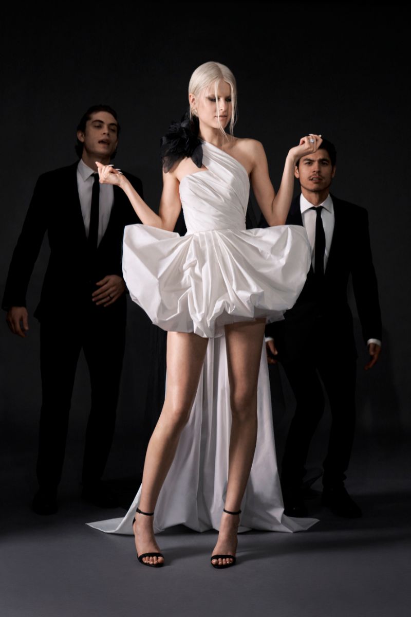 vera wang bride x pronovias