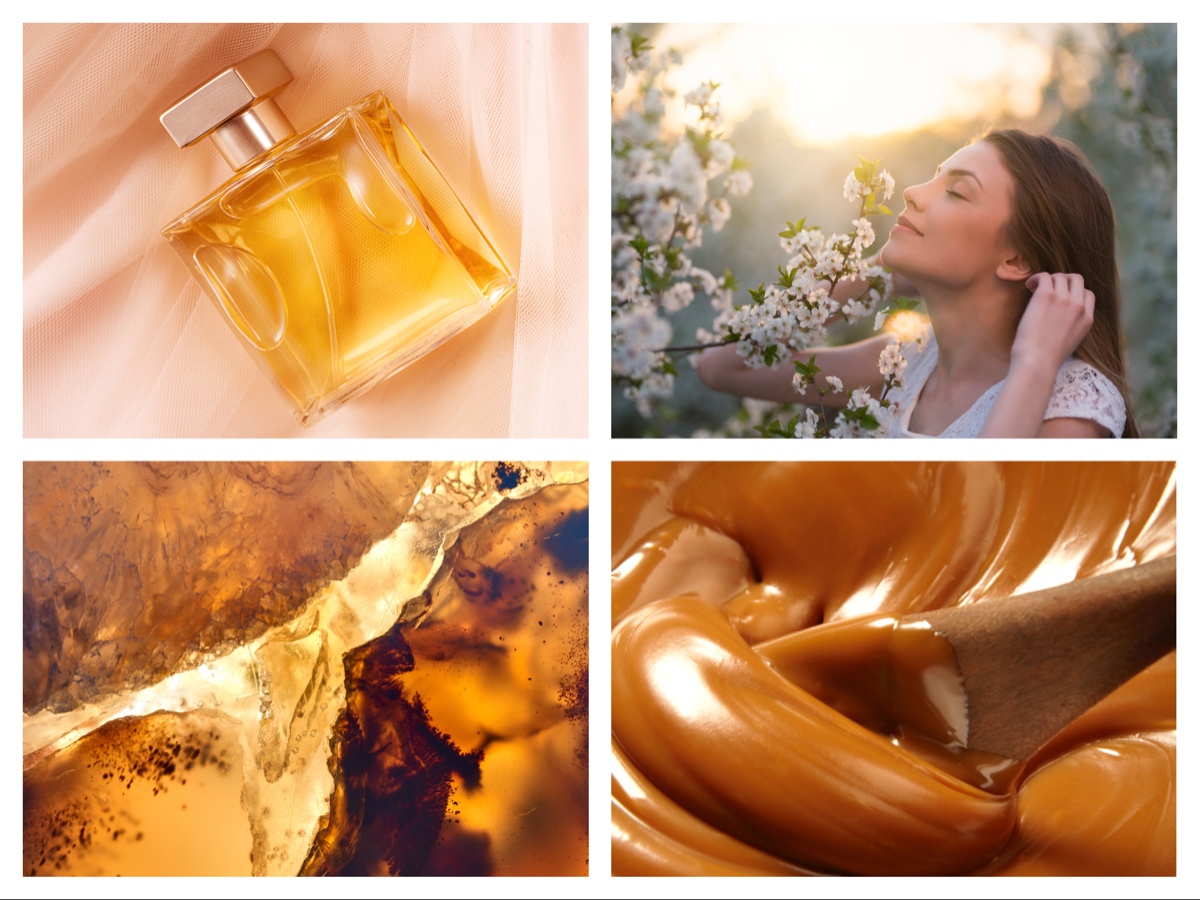 MixCollage-22-Nov-2024-01-51-PM-8973