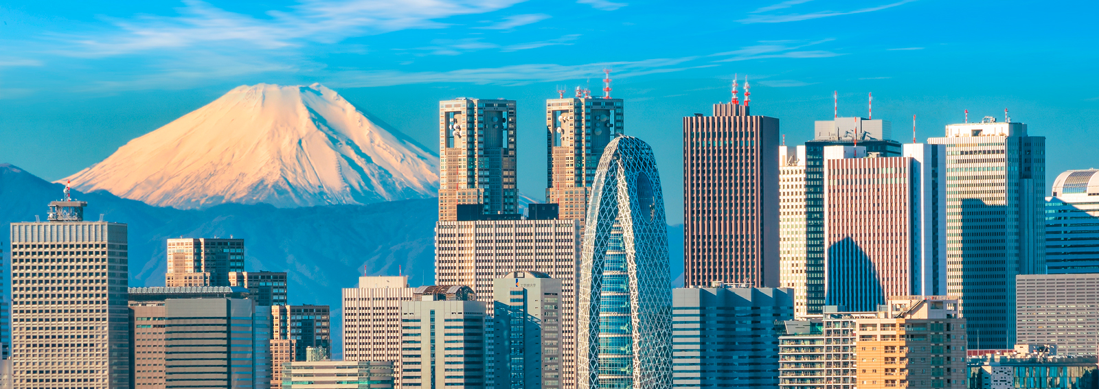 edreams-Tokyo-Giappone