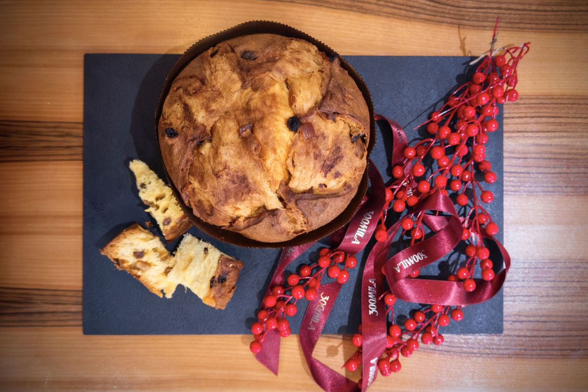 panettone 300 mila