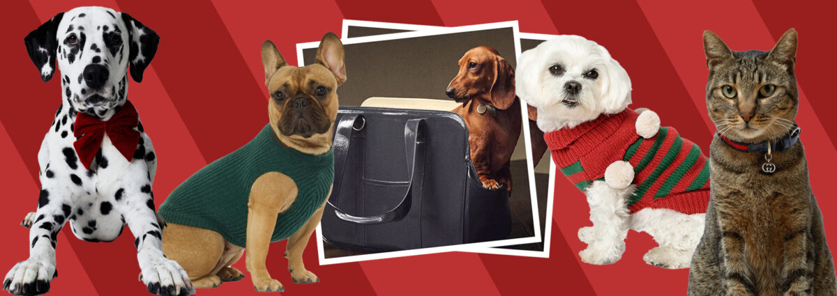 00_DESKTOP_PET_COLLECTIONS