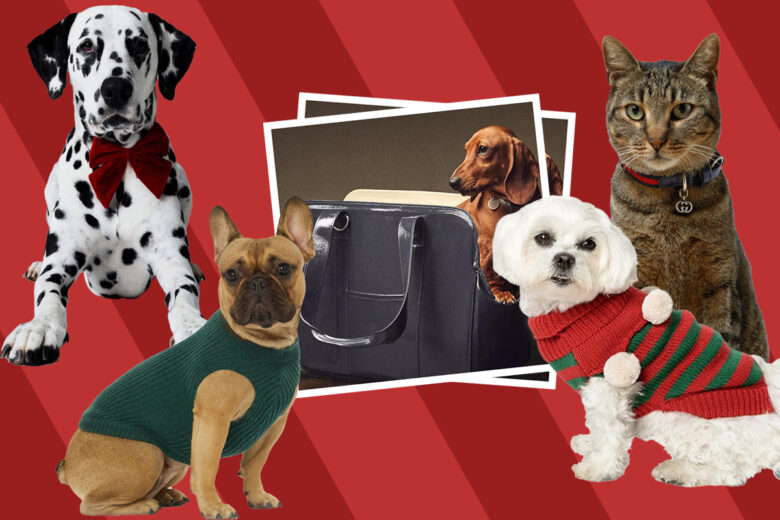 Regali di Natale per amici “pelosetti”: ecco le pet collections più cute in circolazione