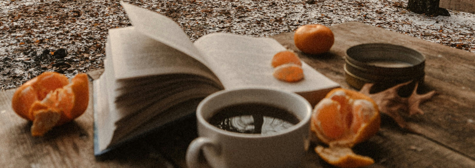 DESK-visore-libri