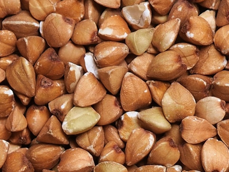 Grano saraceno (mobile)