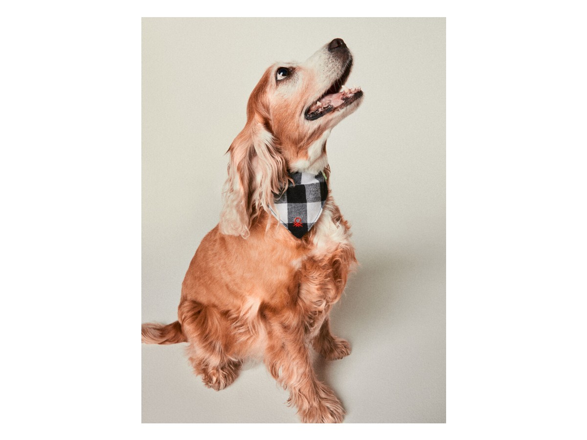 ok Benetton – Bandana