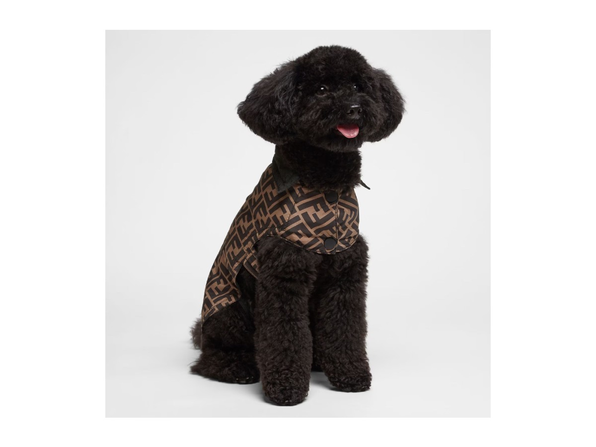 ok Fendi