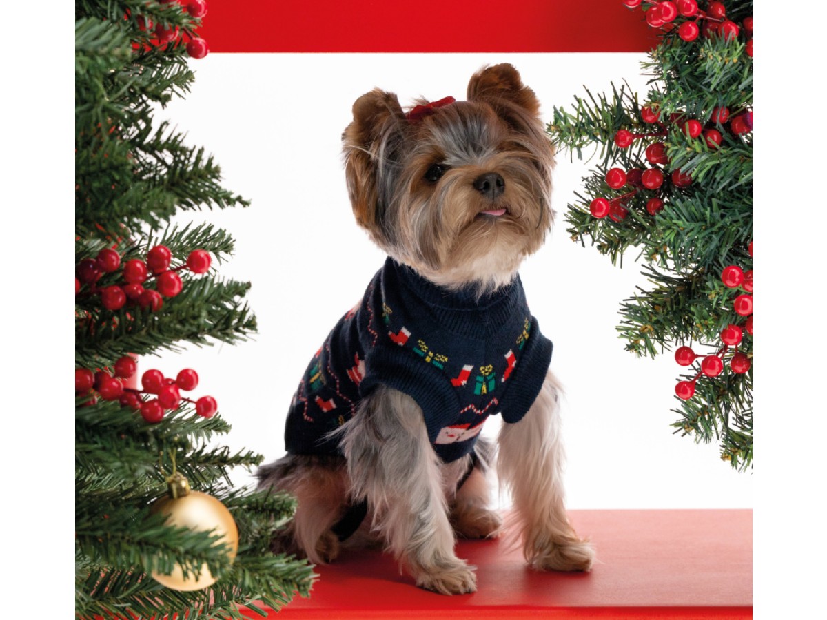 ok Original Marines_Xmas Pet Jumper