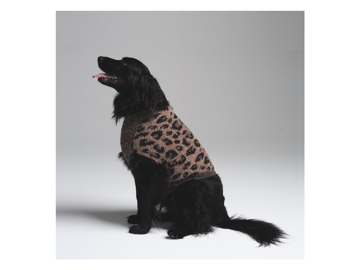 ok Skims – maglioncino animalier
