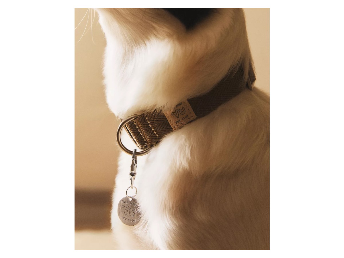 ok Zara home – collare gatto
