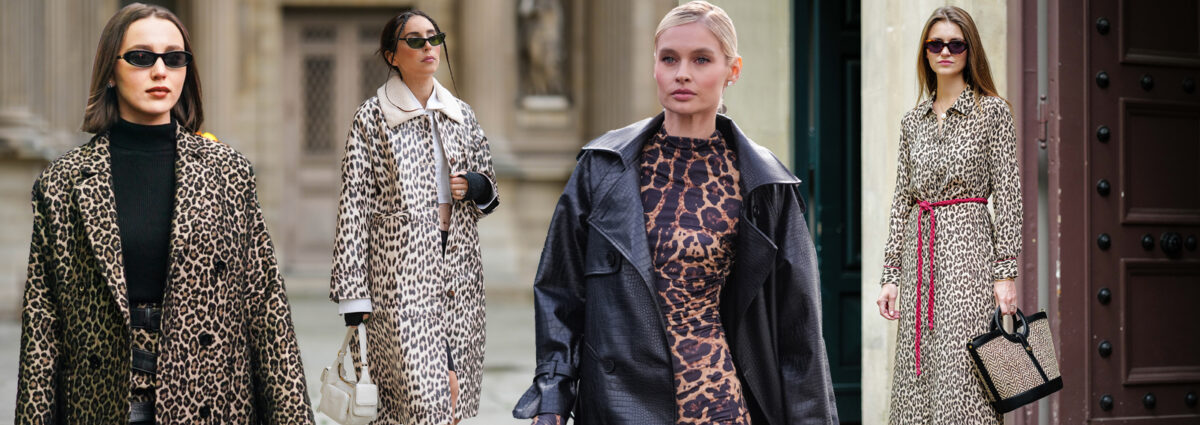 00_DESKTOP_LEOPARDO_INVERNO