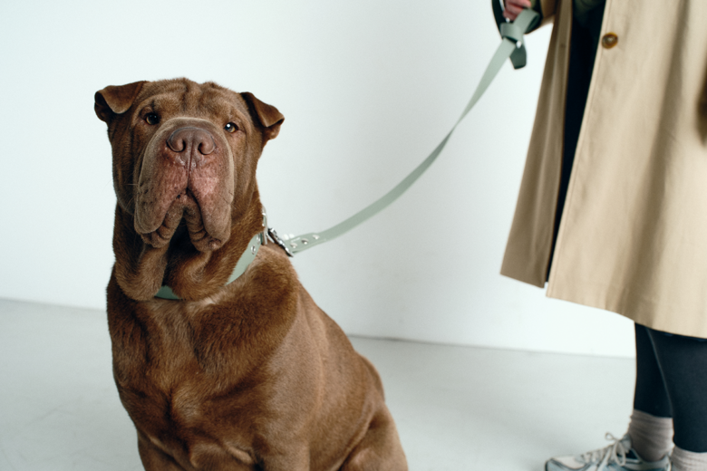 American Vintage inaugura il pop up “AMV Woof Club” presso Le Bon Marché