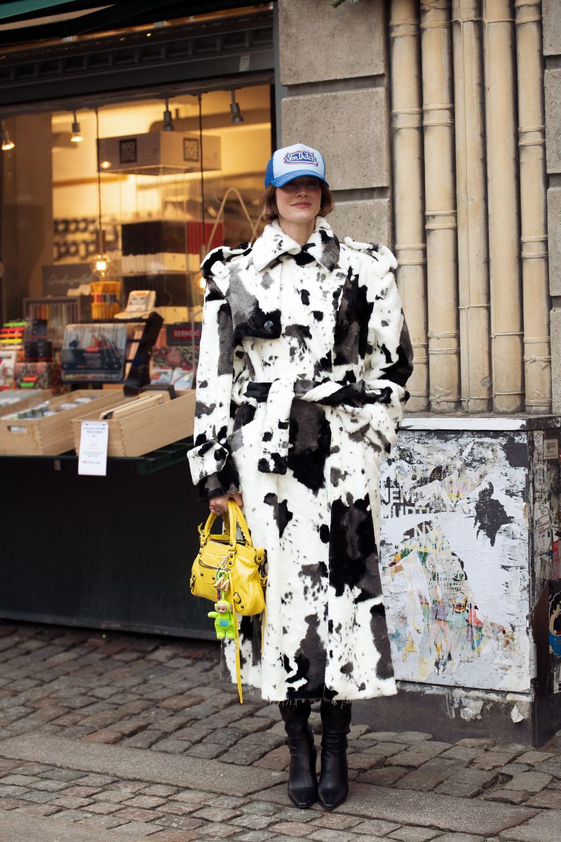 look animalier