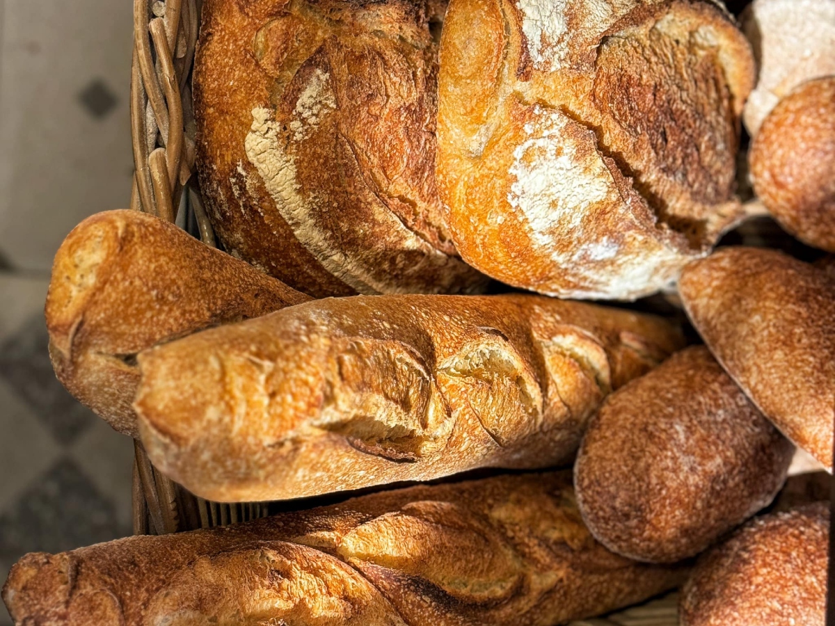 Ciopa Milano pane