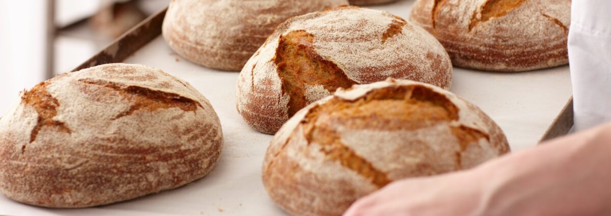 Cover panifici milano desktop