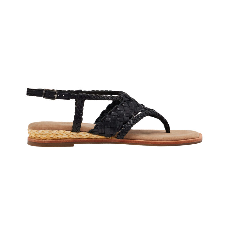 75081@NEGRO@01