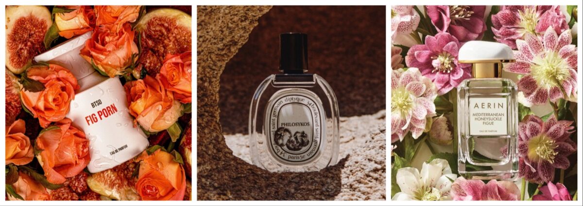 profumi al fico migliori fragranze succose fruttate estive sensuali sexy cover desktop