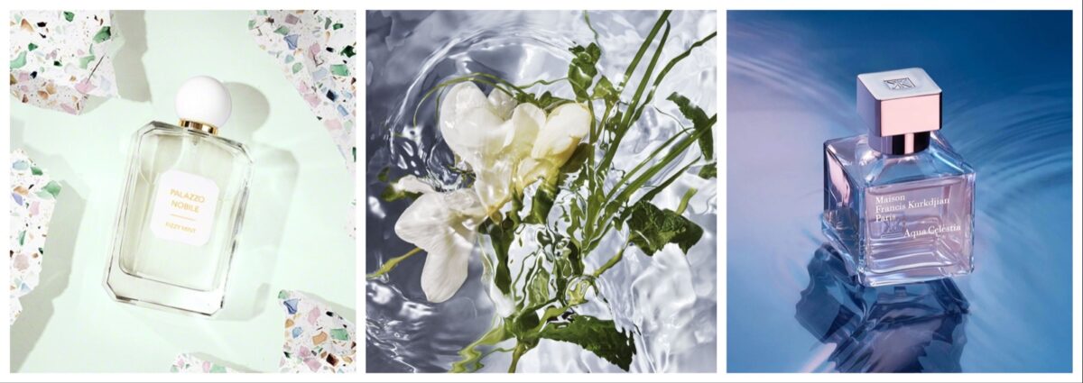 profumi freschi primavera estate 2025 migliori donna uomo unisex cover desktop