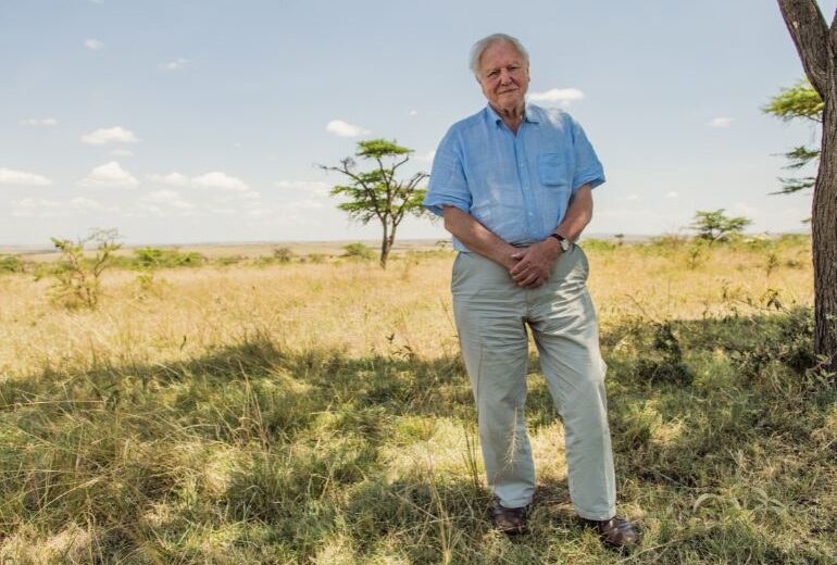 I documentari più belli di David Attenborough (in attesa di vedere il suo ultimo film)