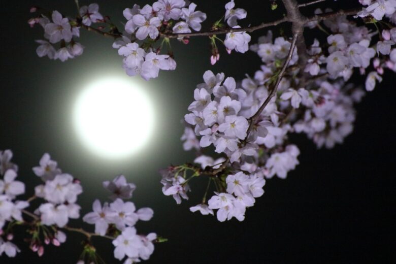 Questa sera c’è la Luna piena dei fiori: ecco il suo significato e la sua influenza sulla nostra vita