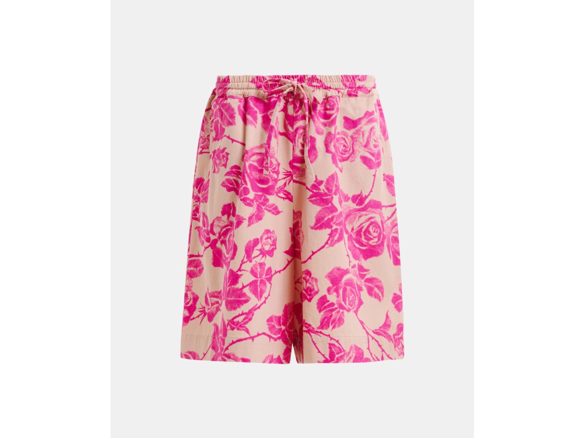 ok EssentielAntwerp_haan_h1ma_€165