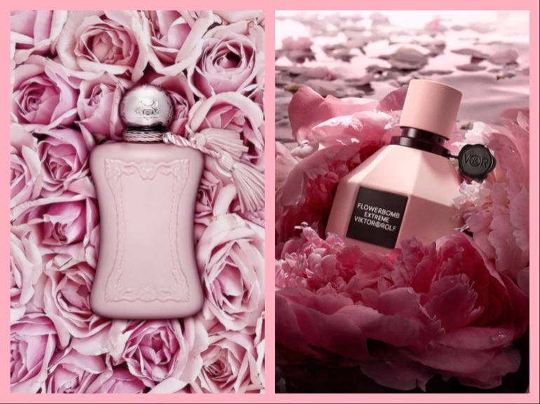 profumo alla rosa migliore moderno giovane cover mobile