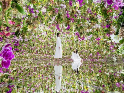 89jnh3jinccighed29vi