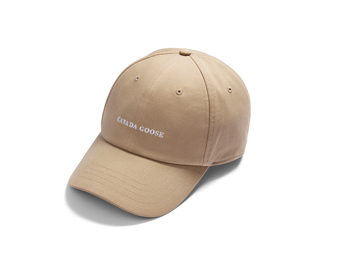 canada-goose