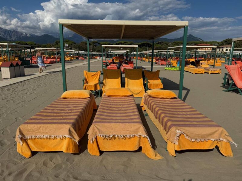 faliero_sarti