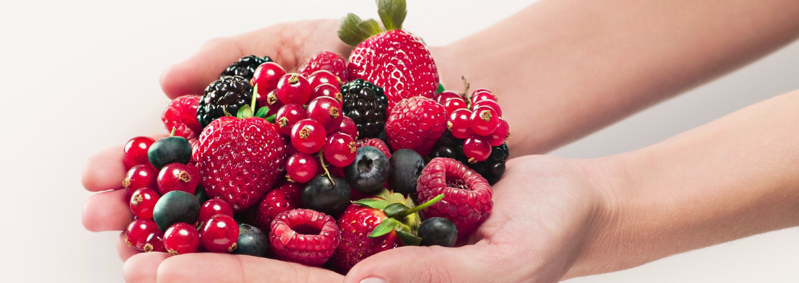 frutti di bosco
