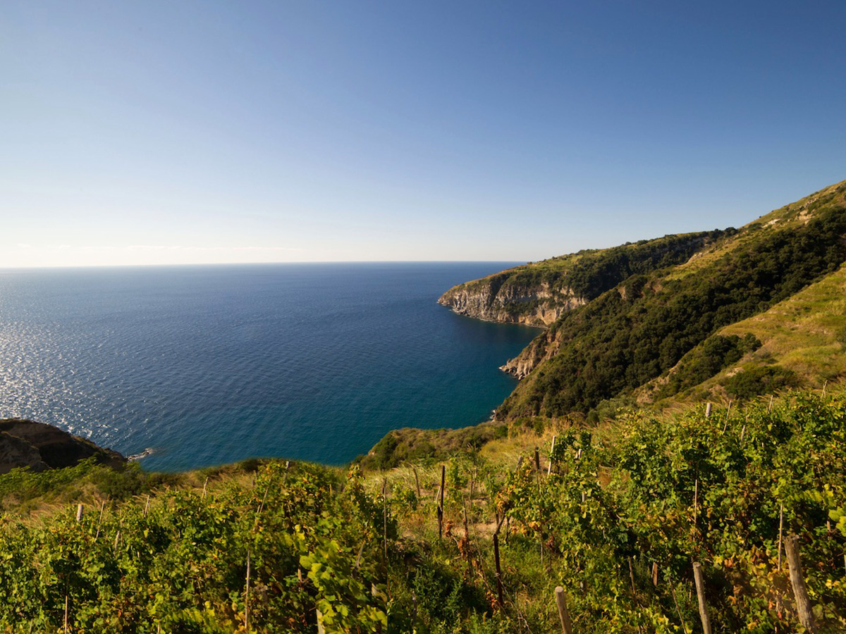 ischia-vitigno