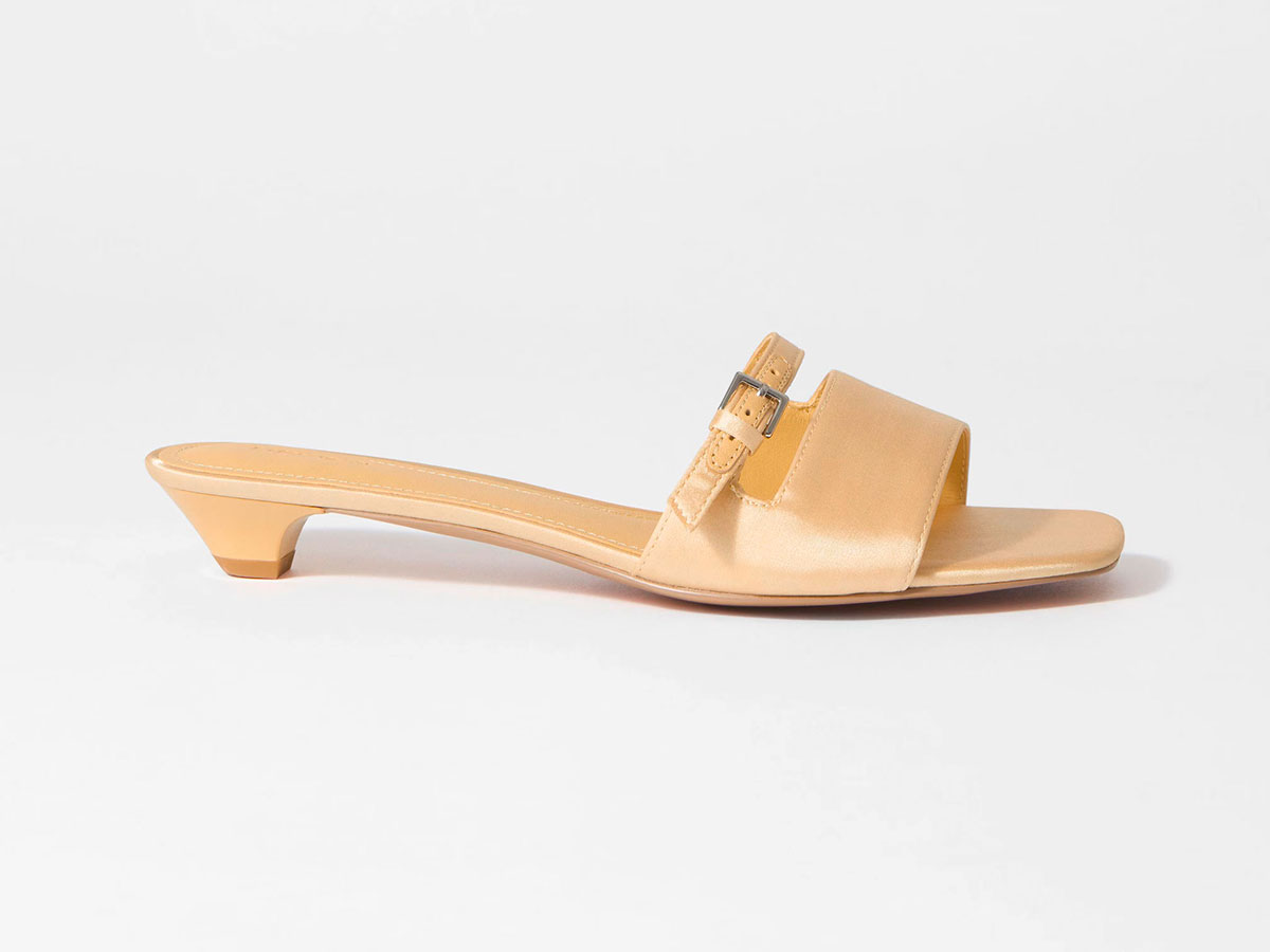 mules-satin-and-other-stories