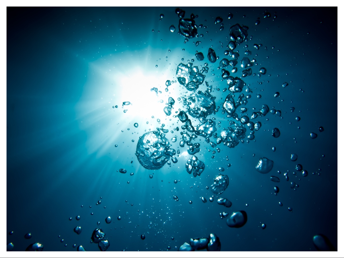 profumo a base d’acqua senza alcool nuova tendenza fragranze moderne dior ysl bella hadid buly cover 10