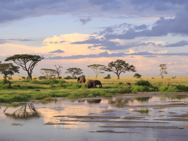 tanzania